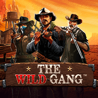 the wild gang